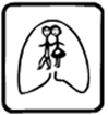 logo of Institute for respiratory diseases in children