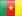 Cameroun flag